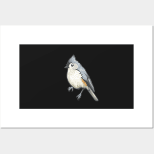 Tufted Titmouse Posters and Art